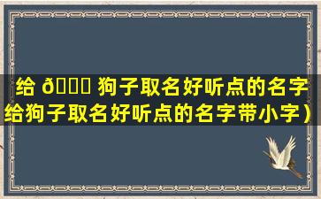 给 🐒 狗子取名好听点的名字（给狗子取名好听点的名字带小字）